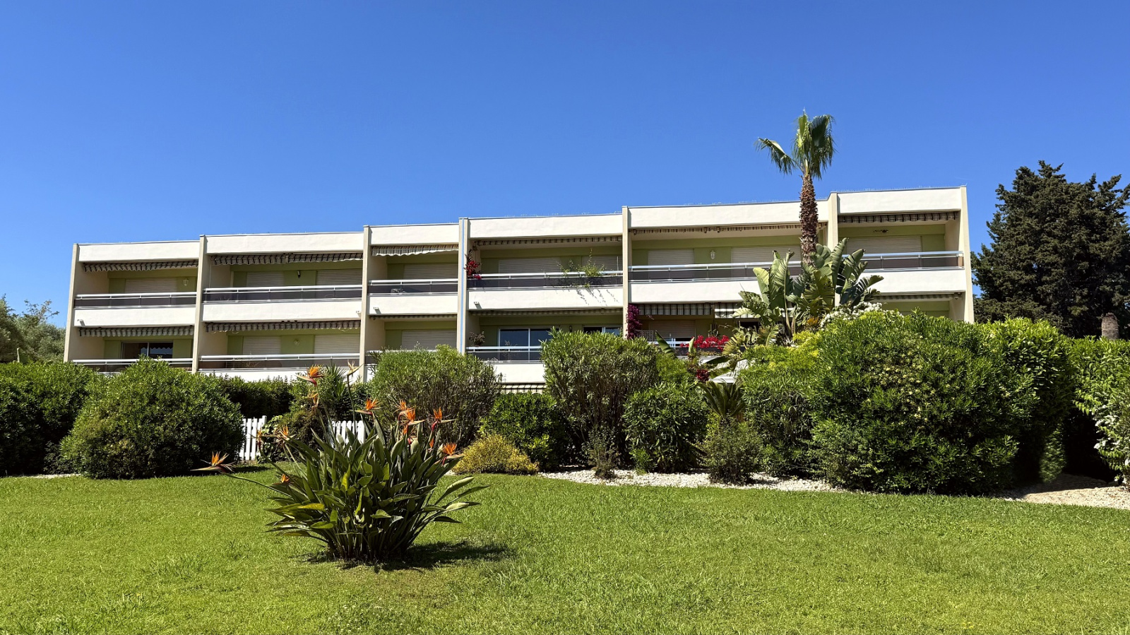 Image_, Appartement, Antibes, ref :1772