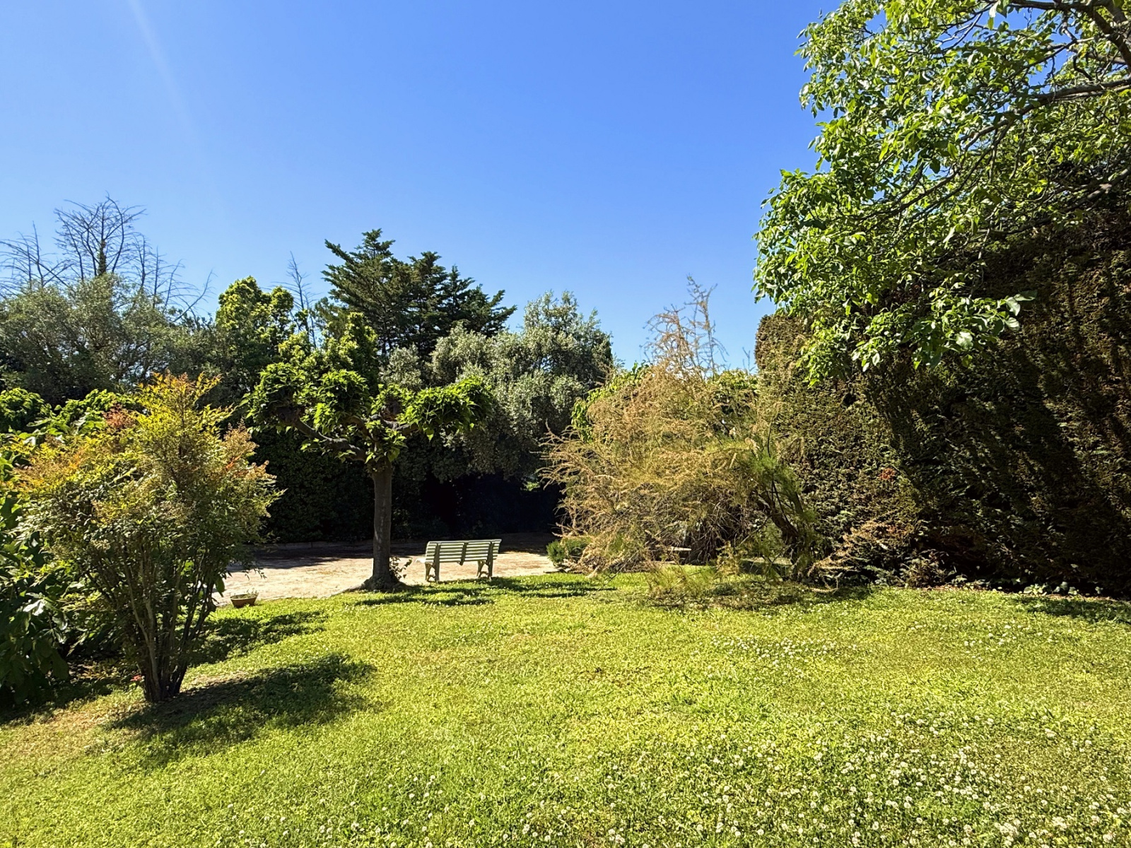 Image_, Appartement, Antibes, ref :1768