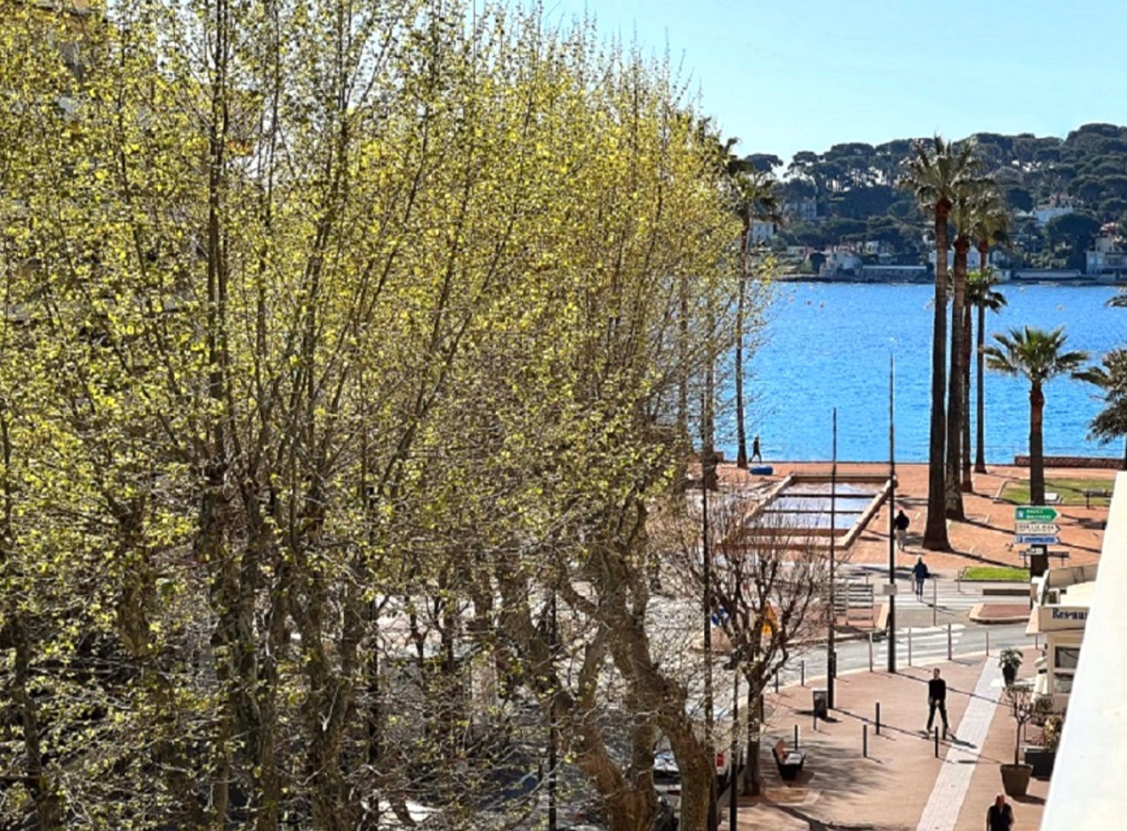 Image_, Appartement, Antibes, ref :1772